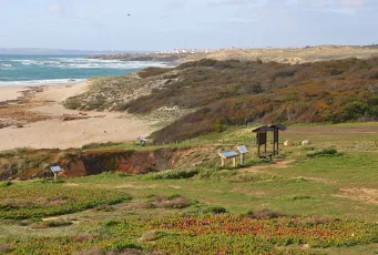 Praia da Ilha do Pessegueiro - Porto Covo - Sines