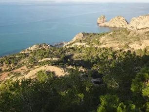 Near Torres de Alcalá, Morocco