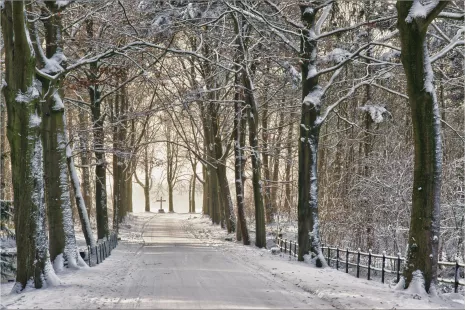 Winter will return ....