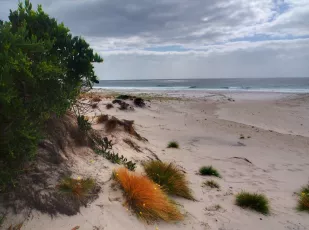 The Friendly Beaches