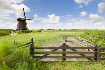 Dutch windmill in fresh green field