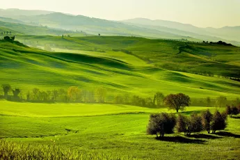 Green countryside San Quirico d'Orcia , Tuscany, Italy