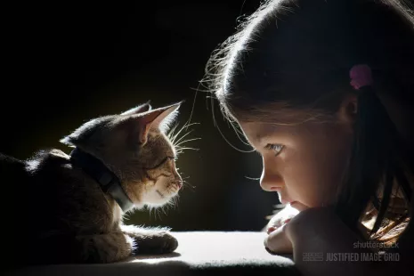 Mind reading young girl gazes at cat