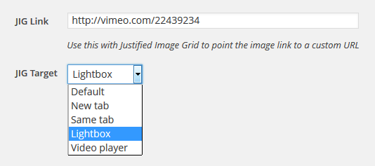 JIG Link and JIG Target fields for the custom links feature in the WordPress media library.